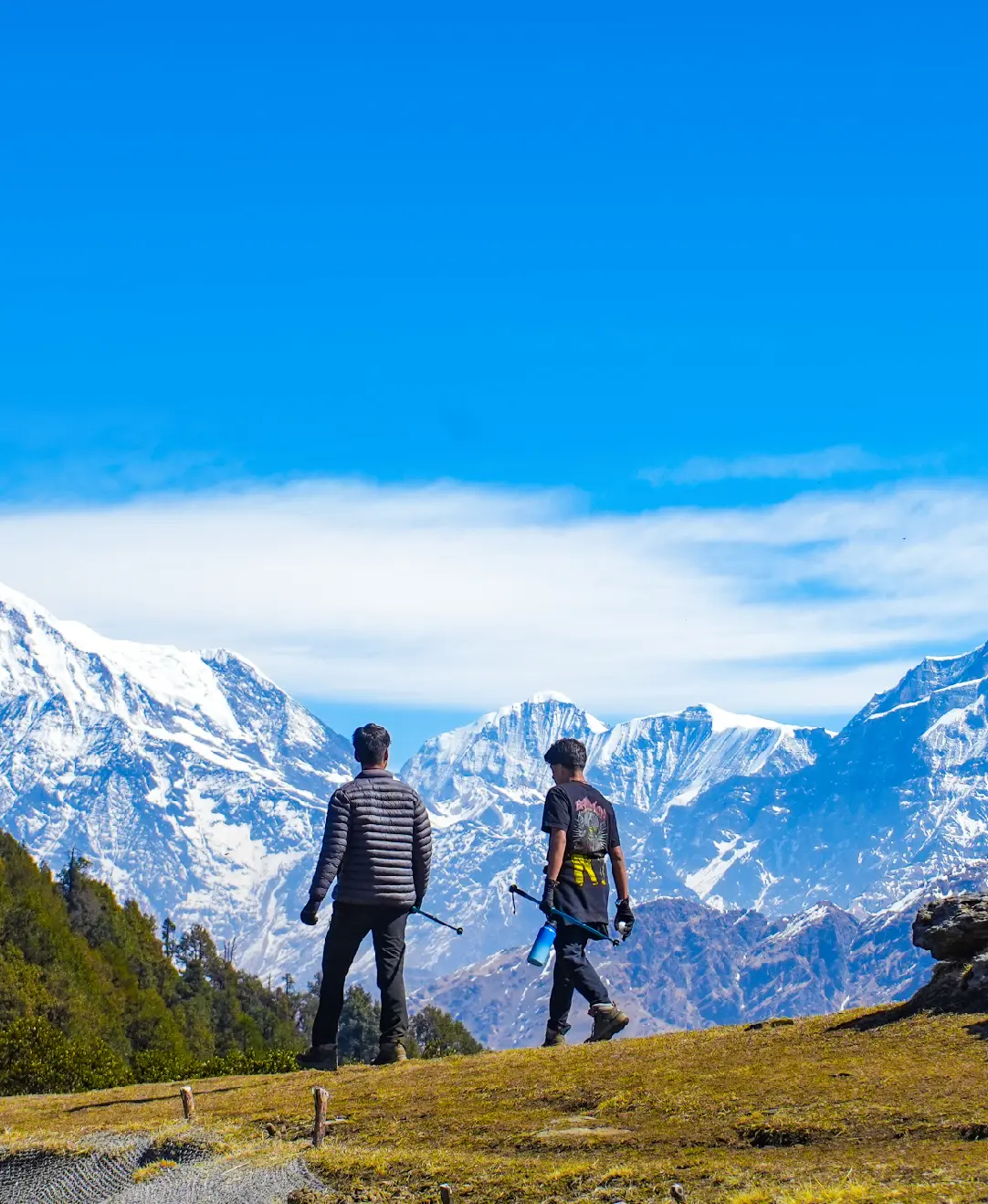 WHY IS A SUMMER CAMP EXPERIENCE ESSENTIAL FOR EVERY CHILD